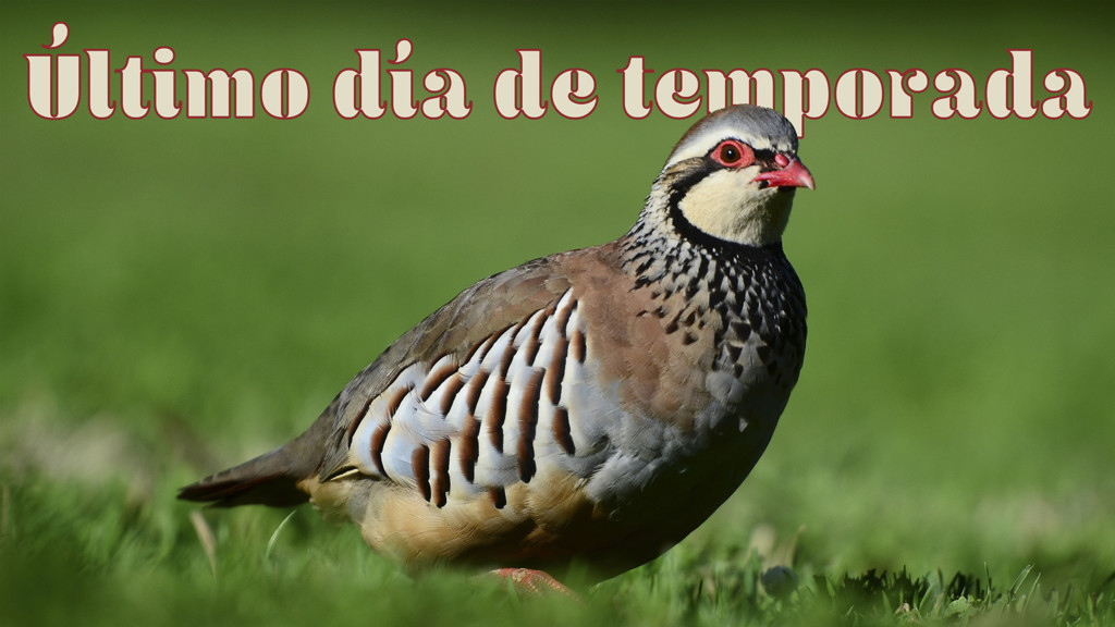 El Último Día De La Temporada